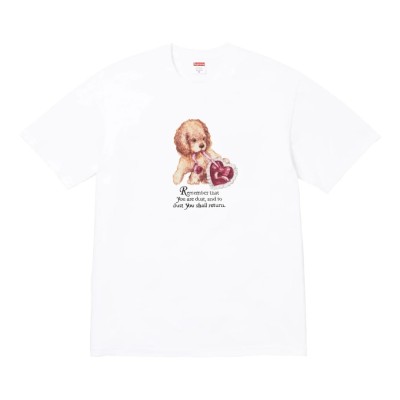 Supreme Dust Tee White.jpg