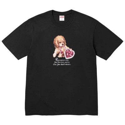 Supreme Dust Tee Black.jpg