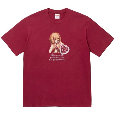 Supreme Dust Tee Cardinal.jpg