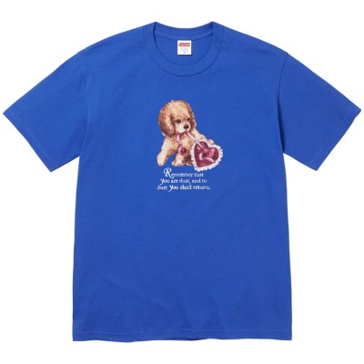 Supreme Dust Tee Royal