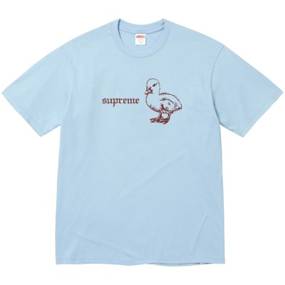 Supreme Duck Tee Powder Blue.jpg