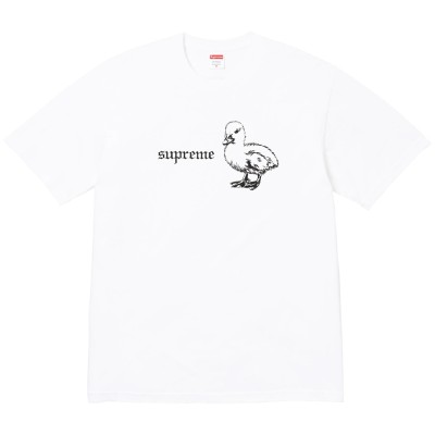 Supreme Duck Tee White.jpg