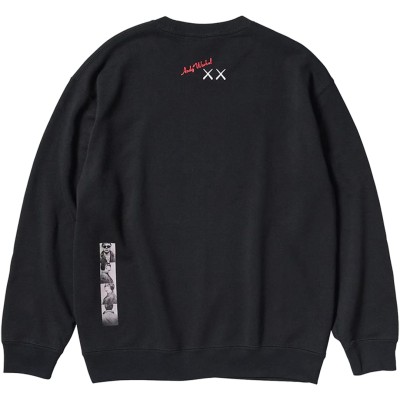 Kaws Uniqlo x Andy Warhol Graphic Crewneck.jpg