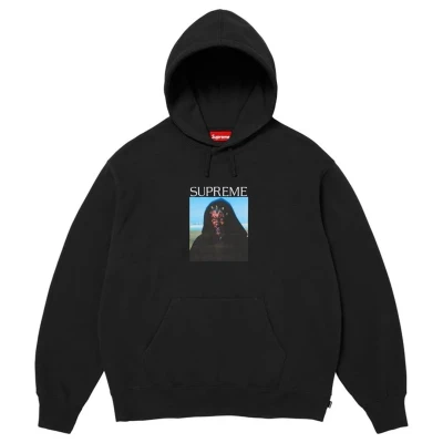 Supreme Sith Hooded Sweatshirt Black.jpg