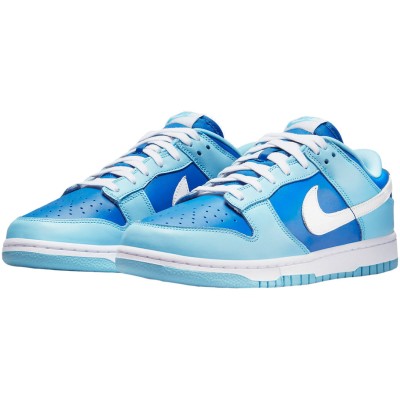 Nike Dunk Low Argon.jpg