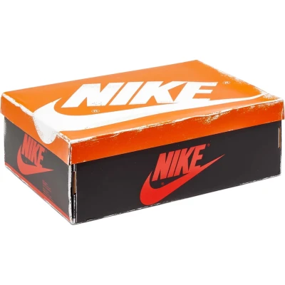Jordan 1 Retro High OG Chicago Lost and Found 2.jpg