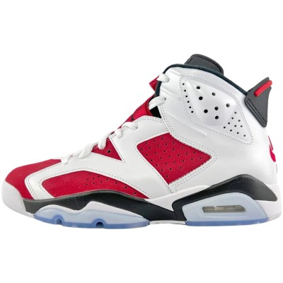 Air Jordan 6 Retro Carmine (2021).jpg