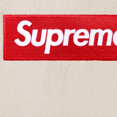 Supreme Box Logo Hooded Stone FW24 2.jpg